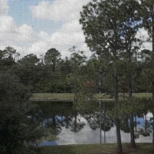 Meet your Posher, Randy